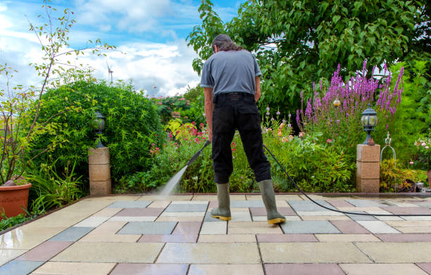 Professional Pressure Washing Services in Machias, WA