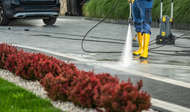 Boat and Dock Cleaning in Machias, WA