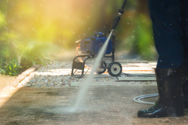 Animal Enclosure Cleaning in Machias, WA